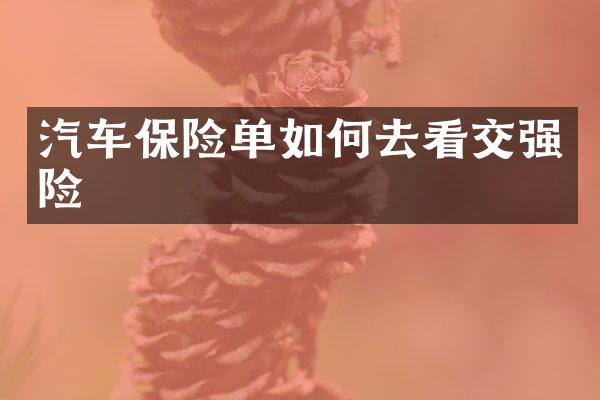 汽车保险单如何去看交强险