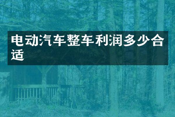 电动汽车整车利润多少合适