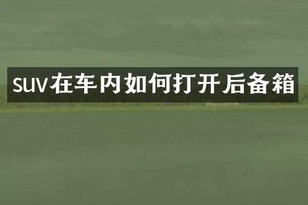 suv在车内如何打开后备箱