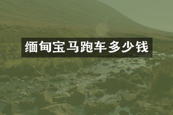 缅甸宝马跑车多少钱