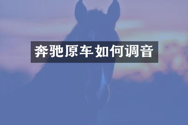 奔驰原车如何调音