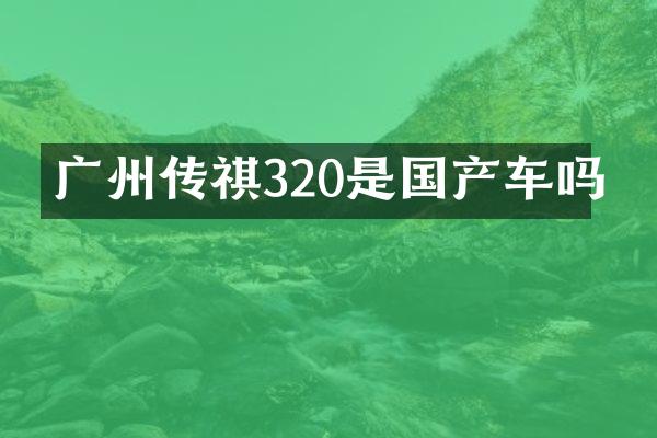 广州传祺320是国产车吗