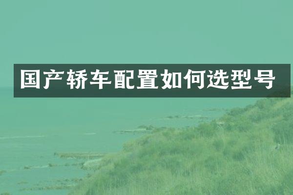 国产轿车配置如何选型号
