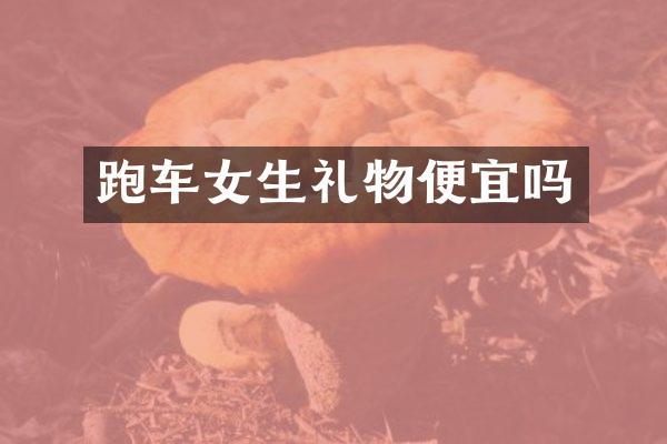 跑车女生礼物便宜吗