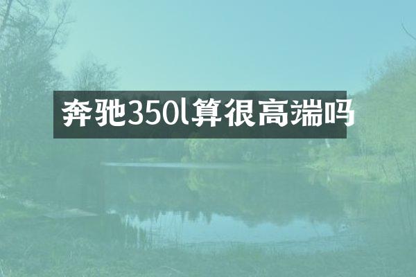奔驰350l算很高端吗