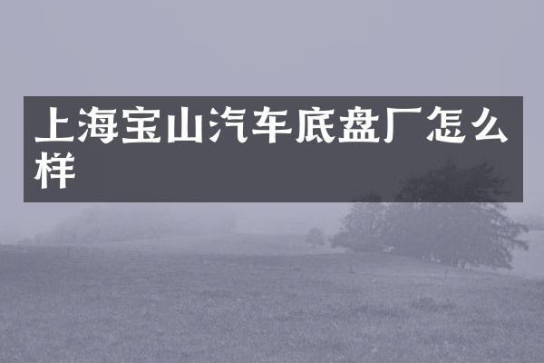 上海宝山汽车底盘厂怎么样