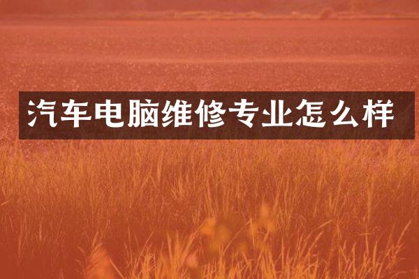 汽车电脑维修专业怎么样