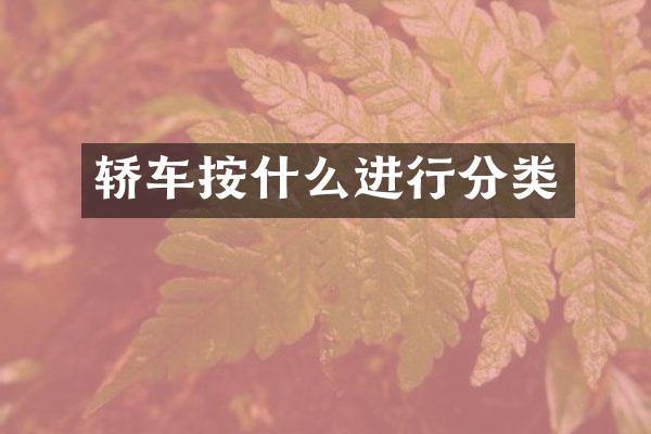 轿车按什么进行分类