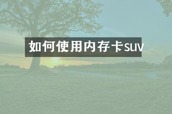 如何使用内存卡suv