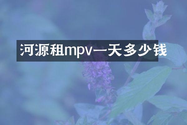 河源租mpv一天多少钱