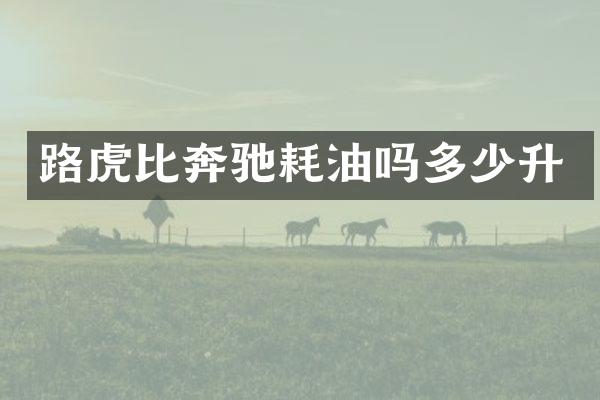 路虎比奔驰耗油吗多少升