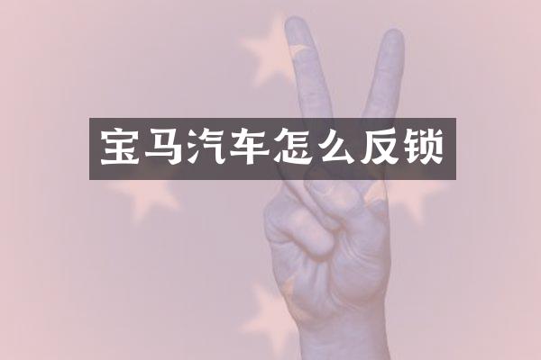 宝马汽车怎么反锁