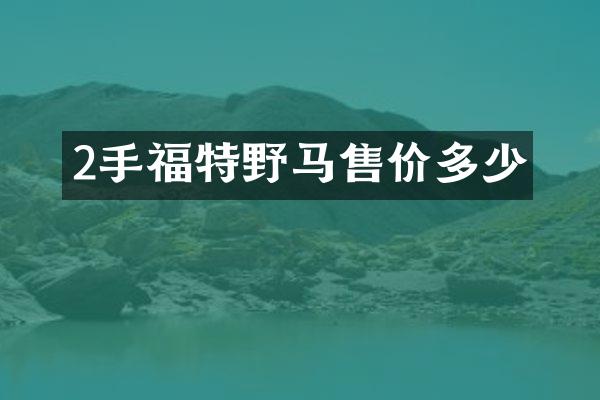 2手福特野马售价多少