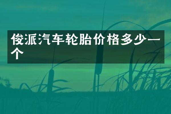 俊派汽车轮胎价格多少一个