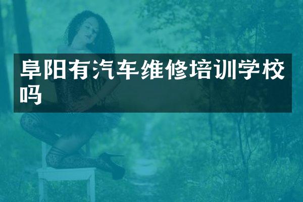 阜阳有汽车维修培训学校吗