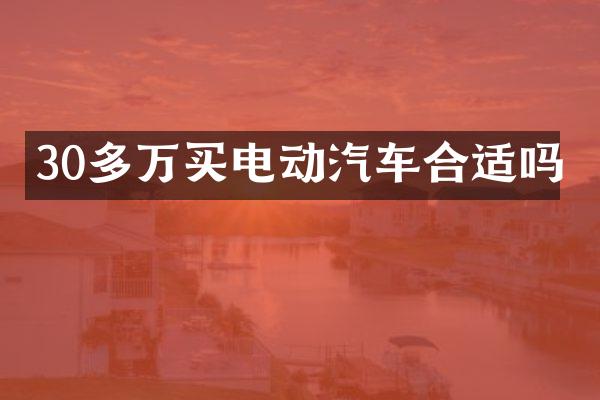 30多万买电动汽车合适吗