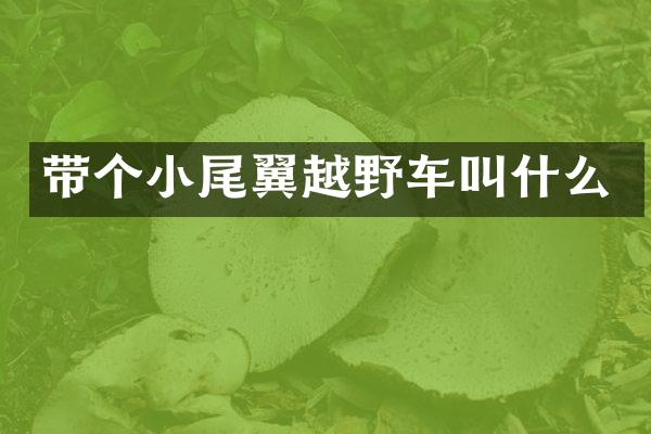 带个小尾翼越野车叫什么