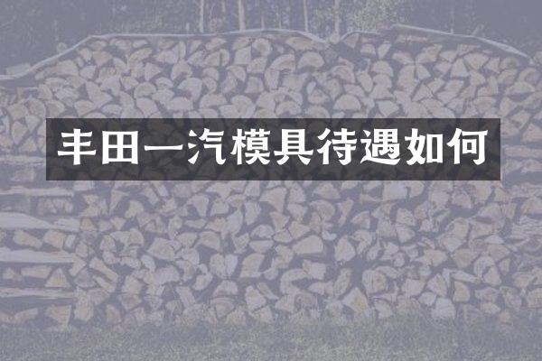 丰田一汽模具待遇如何