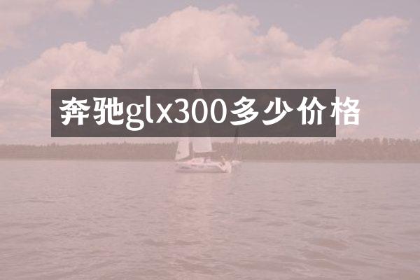 奔驰glx300多少价格