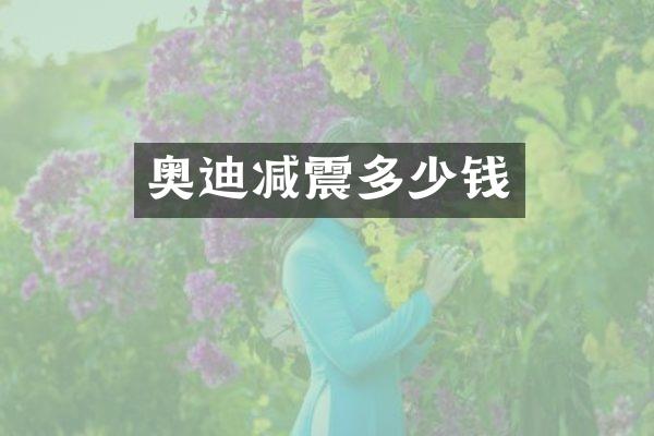 奥迪减震多少钱