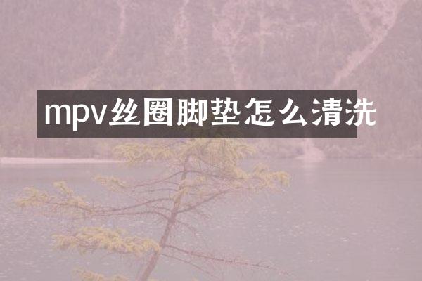 mpv丝圈脚垫怎么清洗