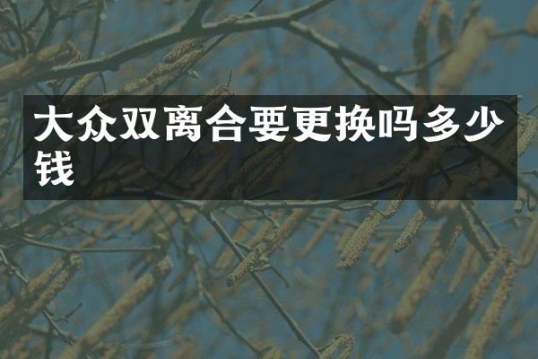 大众双离合要更换吗多少钱