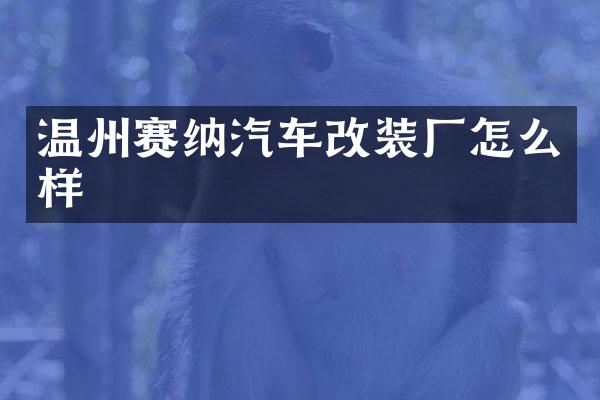 温州赛纳汽车改装厂怎么样
