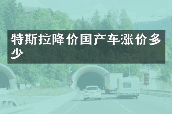 特斯拉降价国产车涨价多少