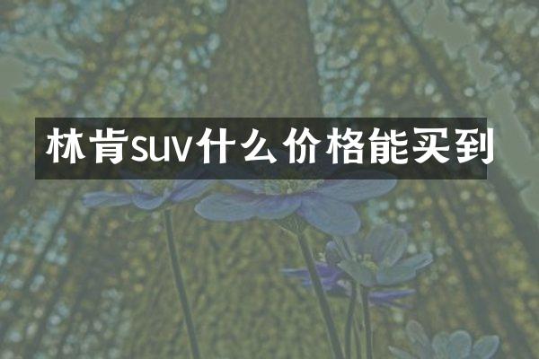 林肯suv什么价格能买到