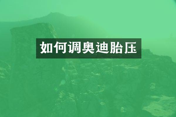 如何调奥迪胎压