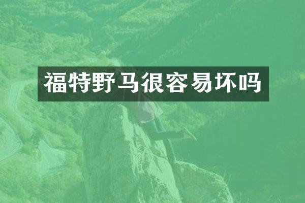 福特野马很容易坏吗