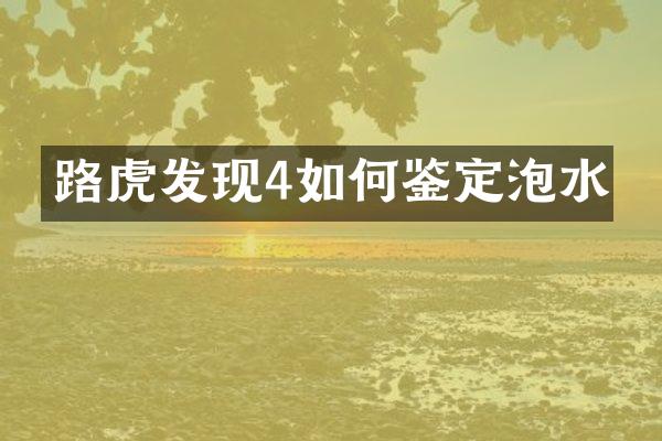 路虎发现4如何鉴定泡水