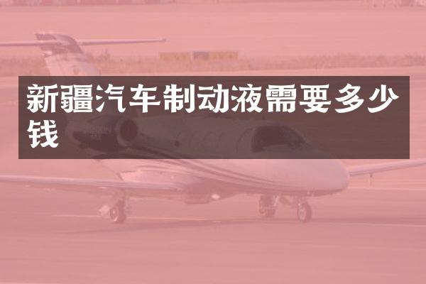 新疆汽车制动液需要多少钱