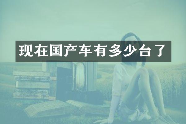 现在国产车有多少台了