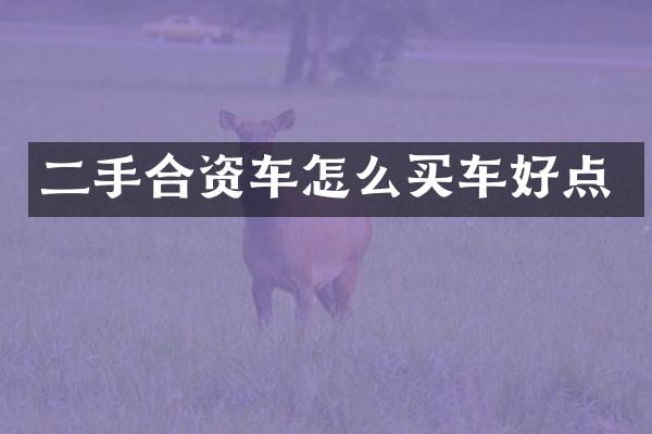 二手合资车怎么买车好点