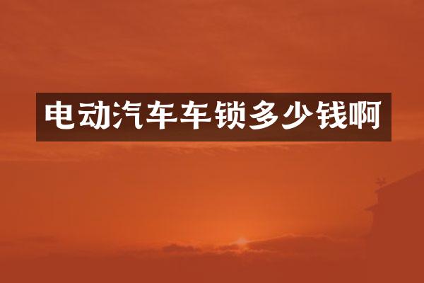 电动汽车车锁多少钱啊