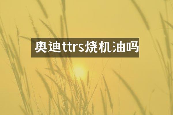奥迪ttrs烧机油吗