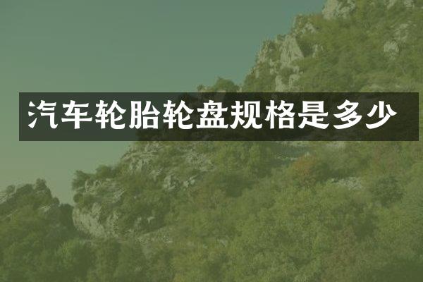 汽车轮胎规格是多少