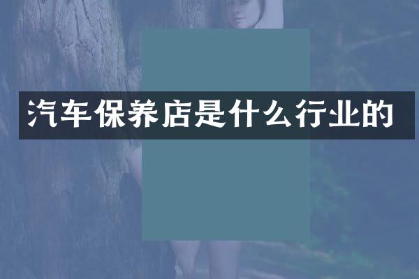 汽车保养店是什么行业的