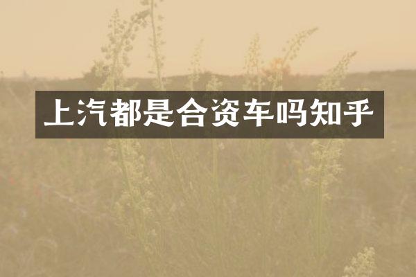 上汽都是合资车吗知乎