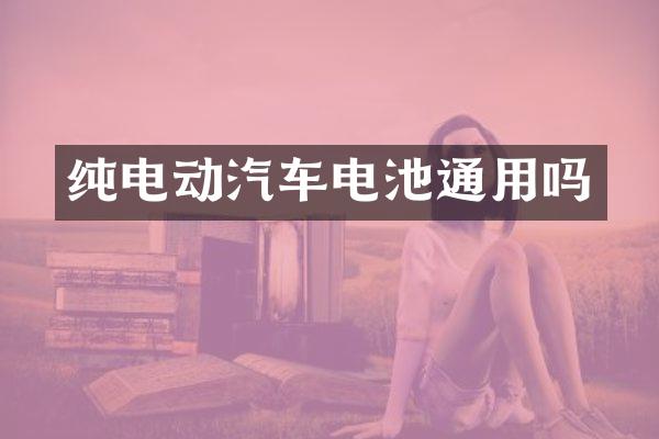 纯电动汽车电池通用吗