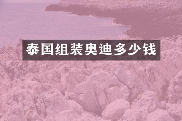 泰国组装奥迪多少钱