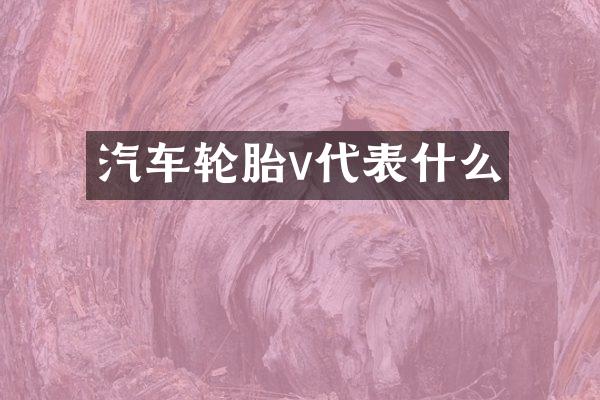 汽车轮胎v代表什么