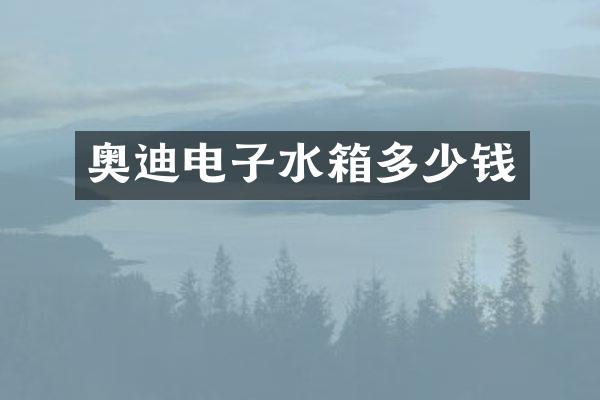奥迪电子水箱多少钱
