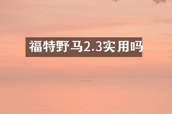 福特野马2.3实用吗