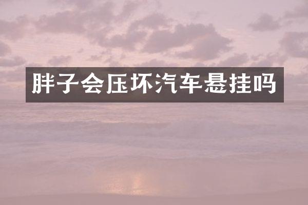 胖子会压坏汽车悬挂吗