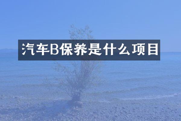 汽车B保养是什么项目