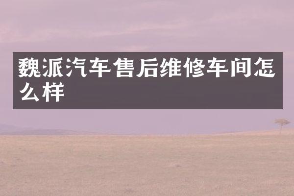 魏派汽车售后维修车间怎么样