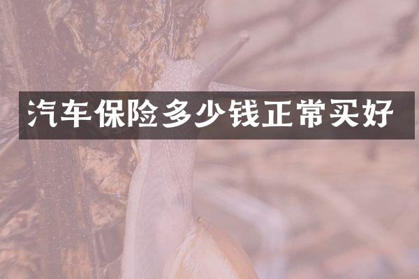 汽车保险多少钱正常买好