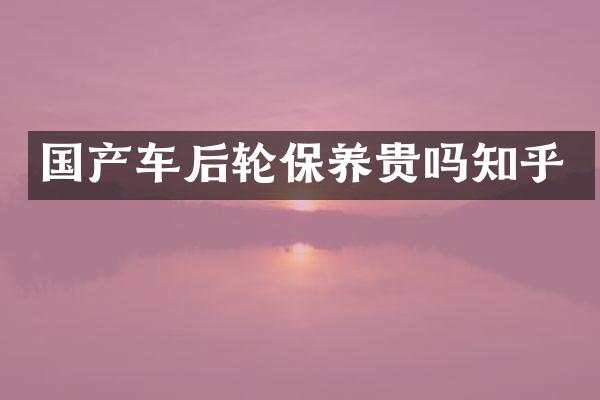 国产车后轮保养贵吗知乎